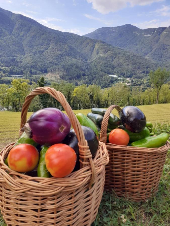 Coste Del Gaggio - Country House B&B - Garda Trentino Drena Kültér fotó