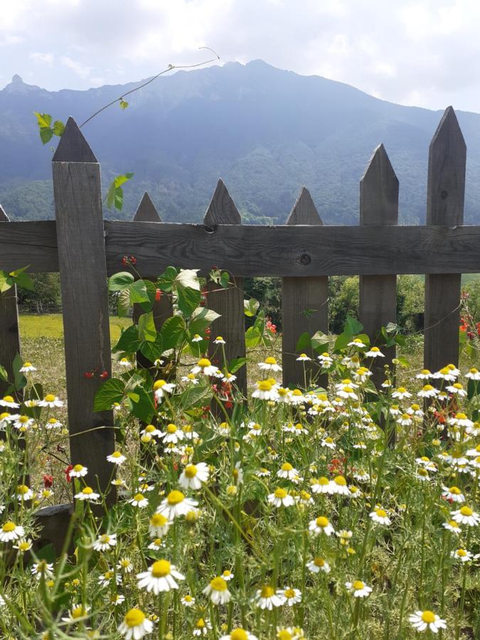 Coste Del Gaggio - Country House B&B - Garda Trentino Drena Kültér fotó