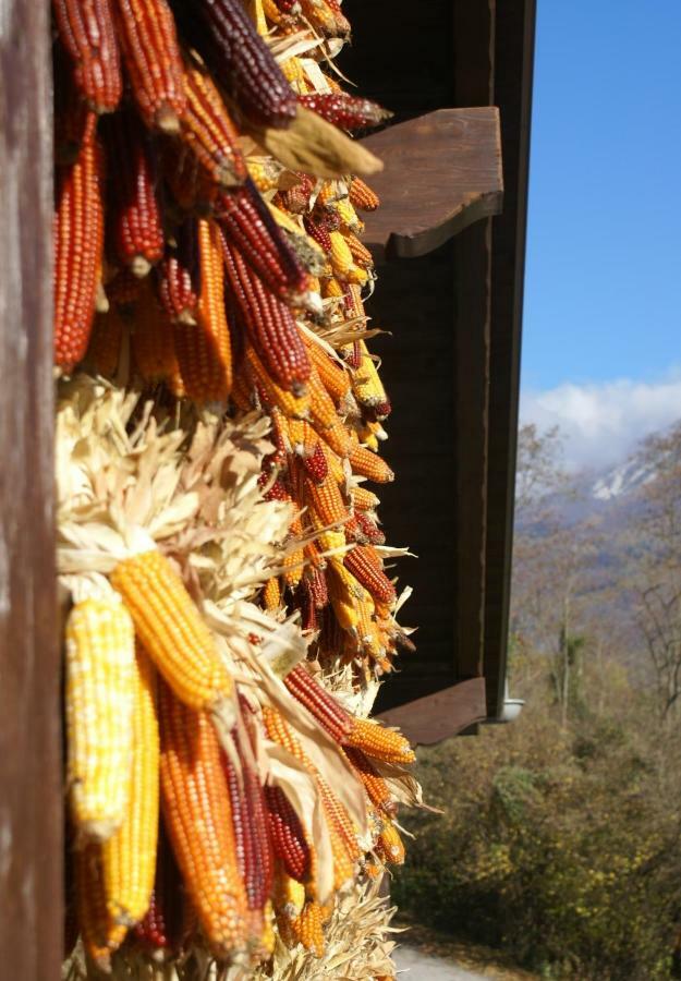 Coste Del Gaggio - Country House B&B - Garda Trentino Drena Kültér fotó